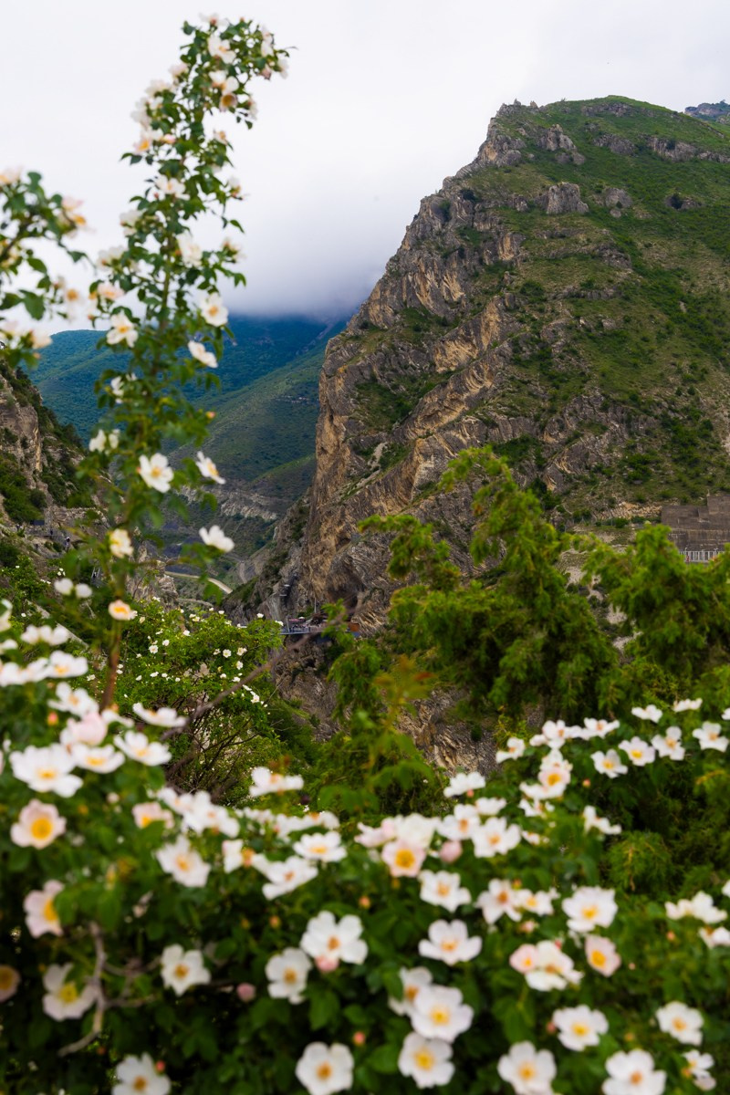 Главрыба. Photomantis