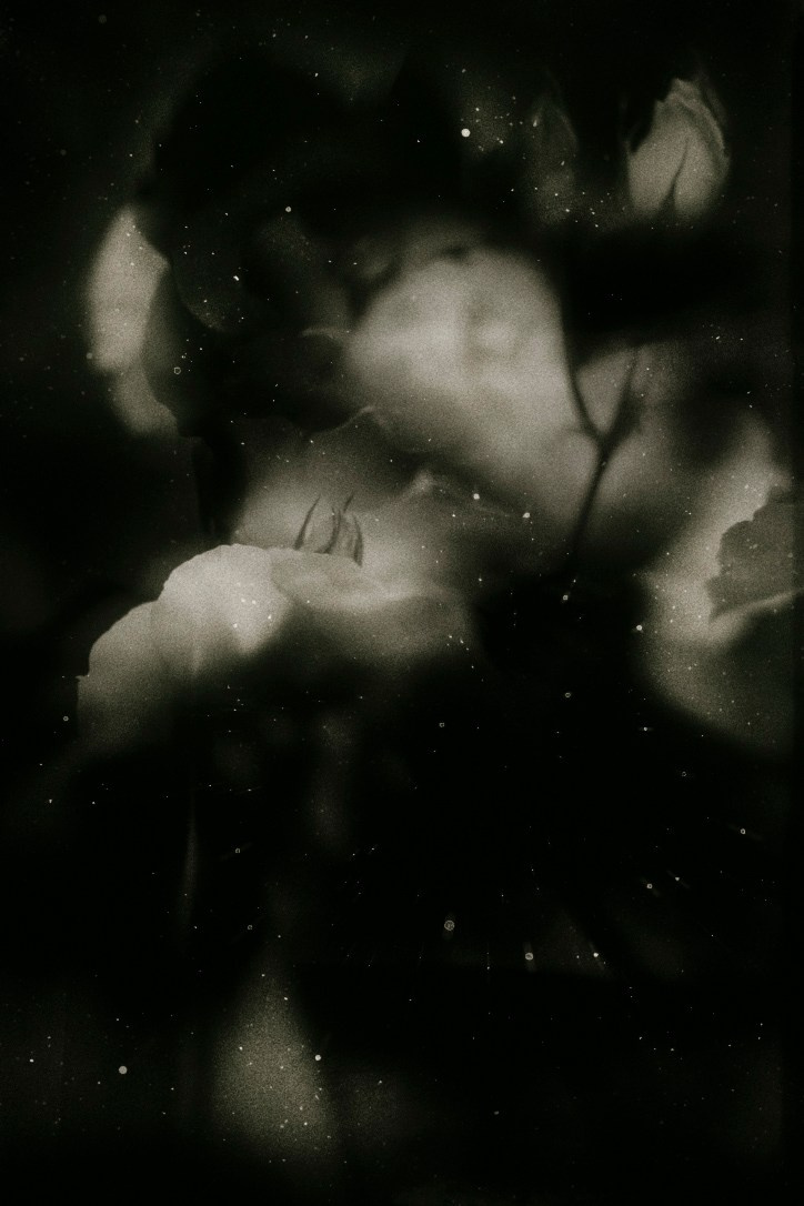 Flowers. Visual artist