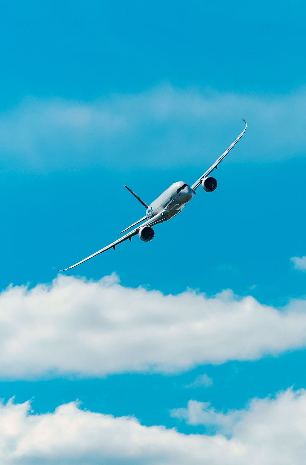 ВЫСТАВКИ. Фотограф и видеограф для бизнеса в Москве — фуд, рестораны, интерьер, контент | Sizov Studio