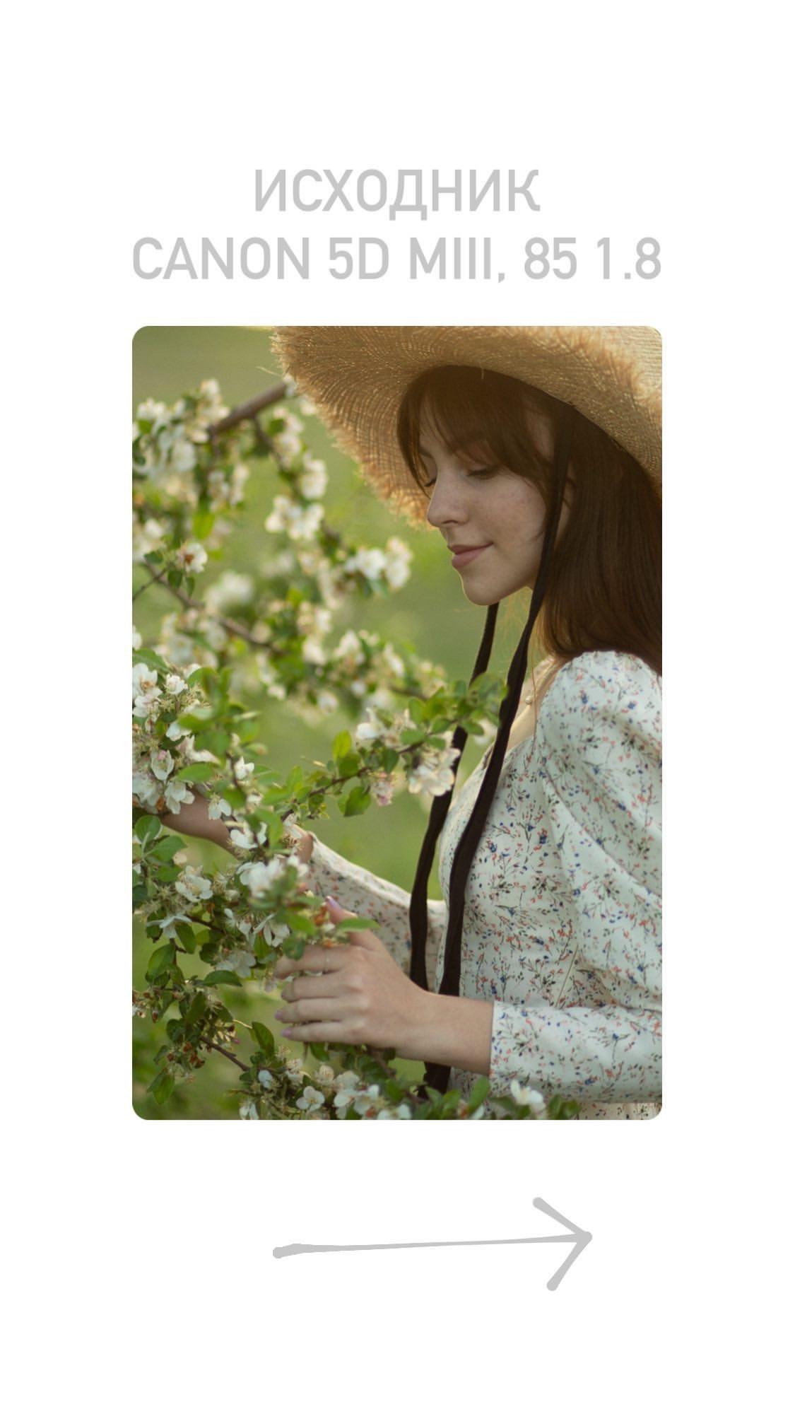 Preset. Фотограф Москва — Павел Михайлов