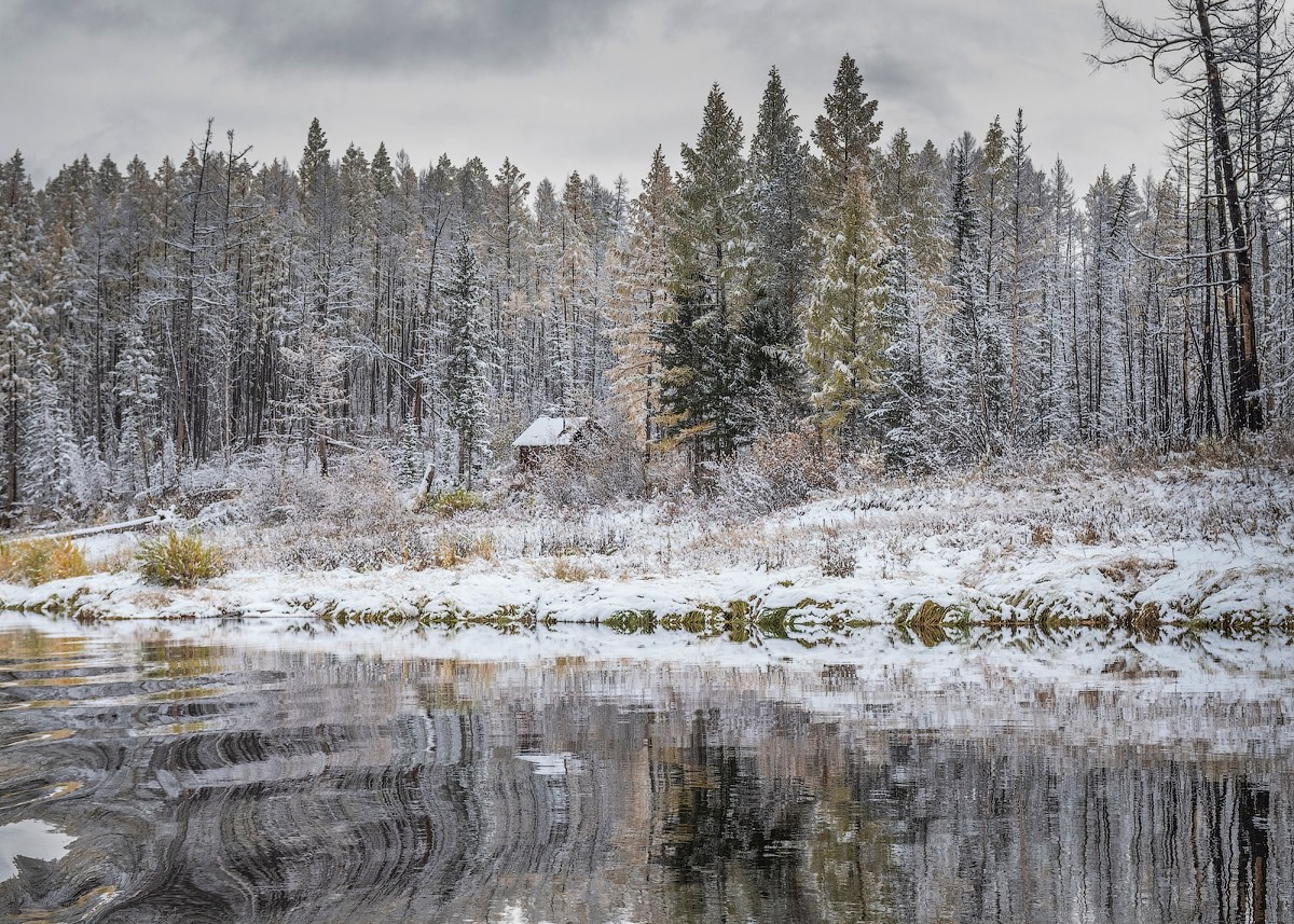 Атлас первого снега серия фотографий. Елена Аносова — художница и исследовательница, куратор и лектор