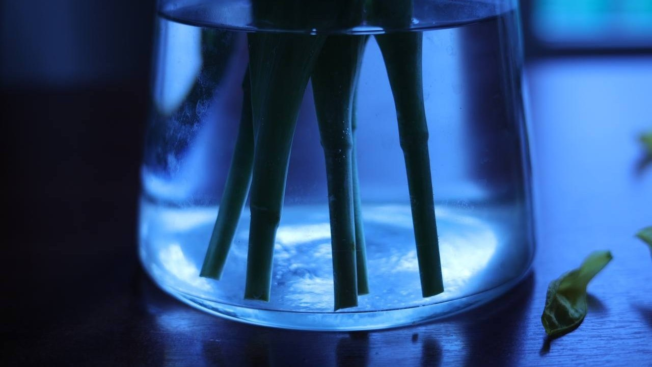 Subjects. PHOTOGRAHER KRISTINA VALIULINA
