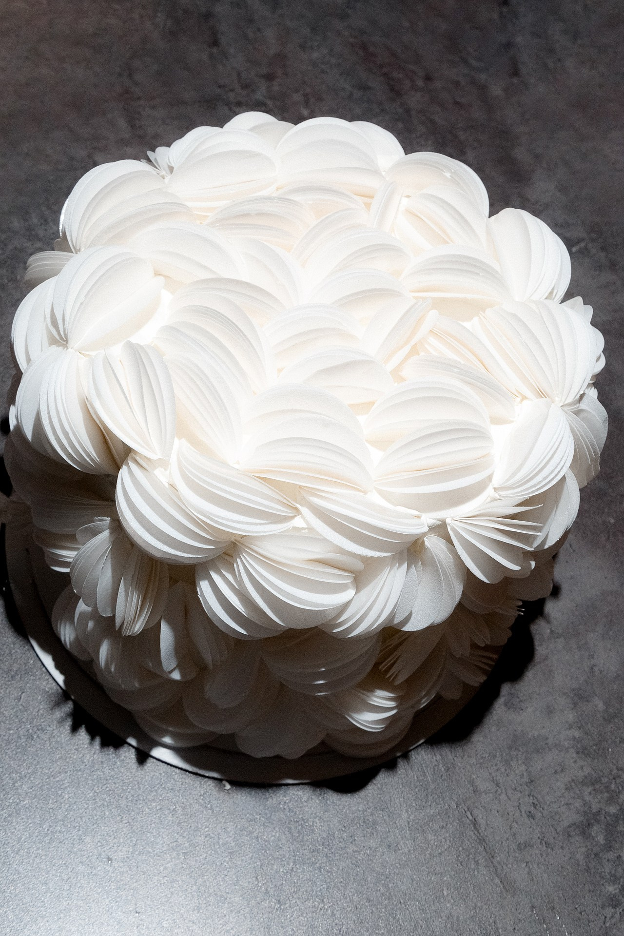 Репортаж дня рождения сообщества. Светский фотограф Санкт-Петербург и ЛО