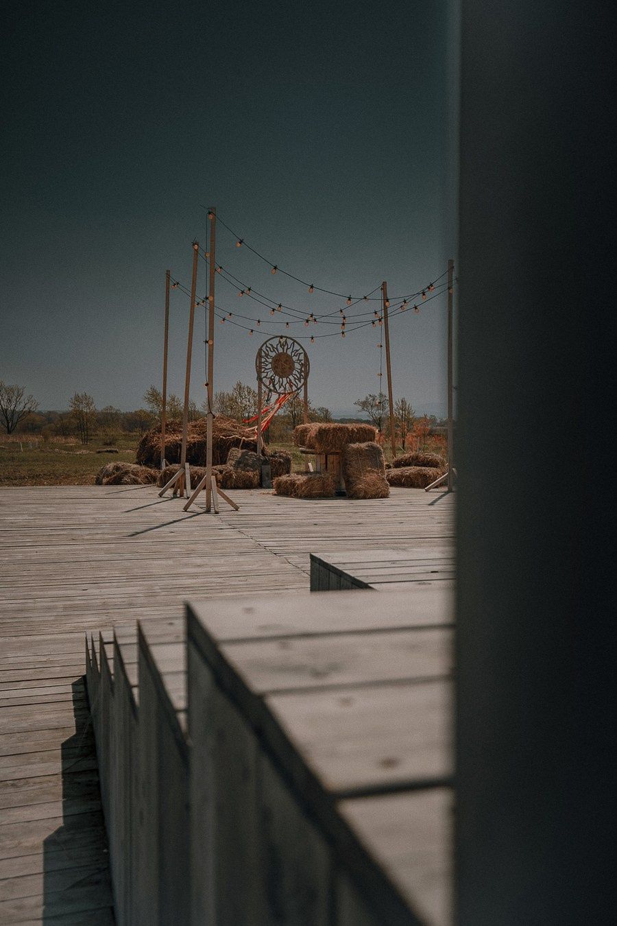 Ферма Альпак Владивосток. Oskar Dallas — professional photographer in Moscow