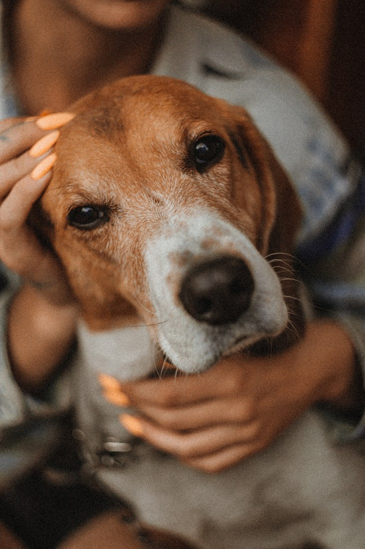 LIZA. Портретный и Семейный фотограф в Санкт-Петербурге Rocket Alice