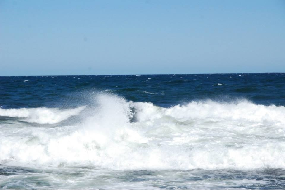 Природа и животные. Творческий фотограф Ирина Баландина.  Санкт-Петербург, Мурманск