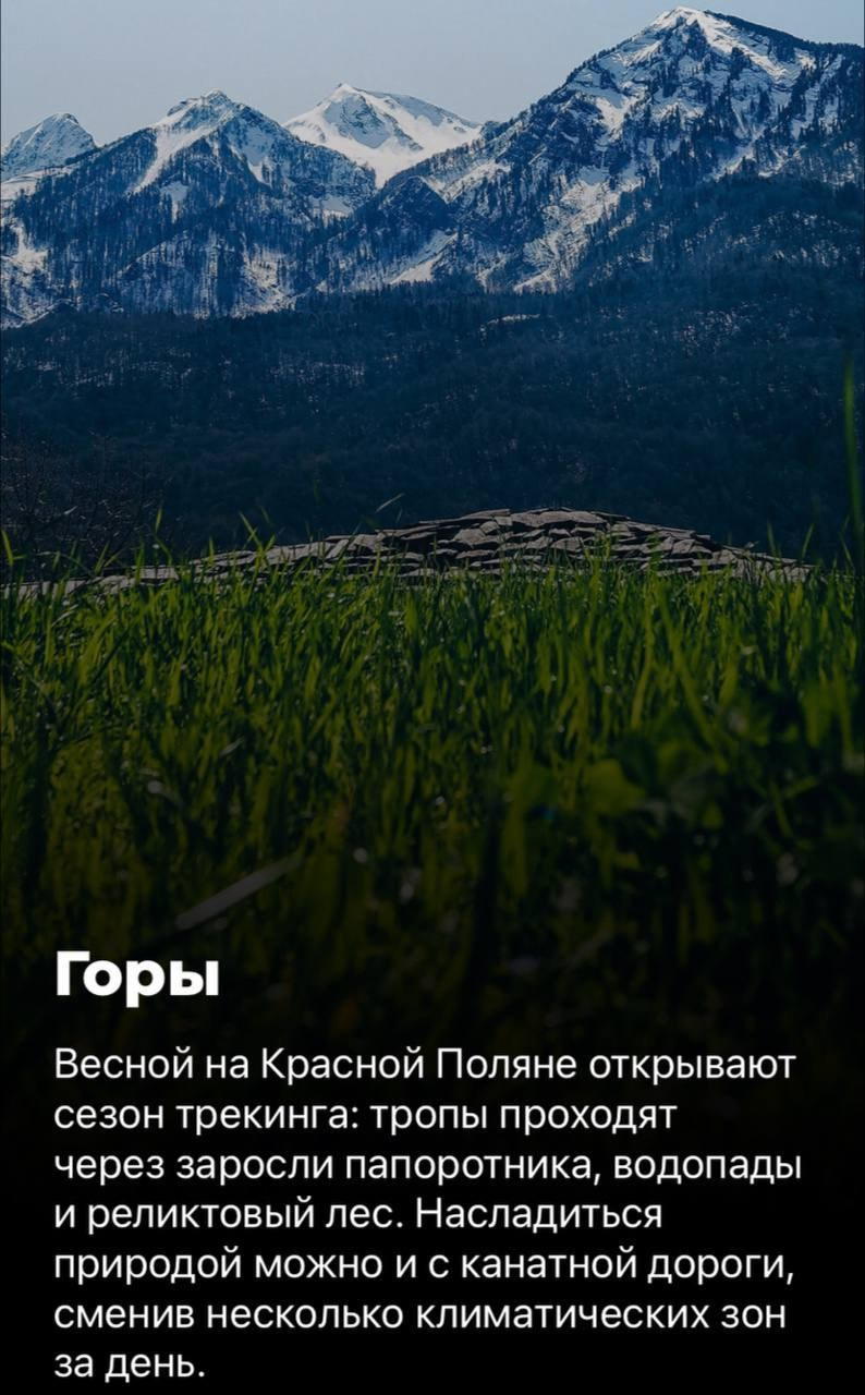 Чем заняться в Сочи весной. Милана Довгаль - семейный фотограф и видеограф  в Адлере и Сочи