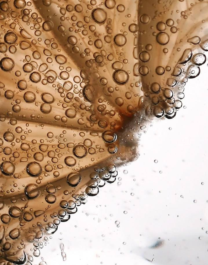 Предметы. Фотограф в Москве Юлия Майорова