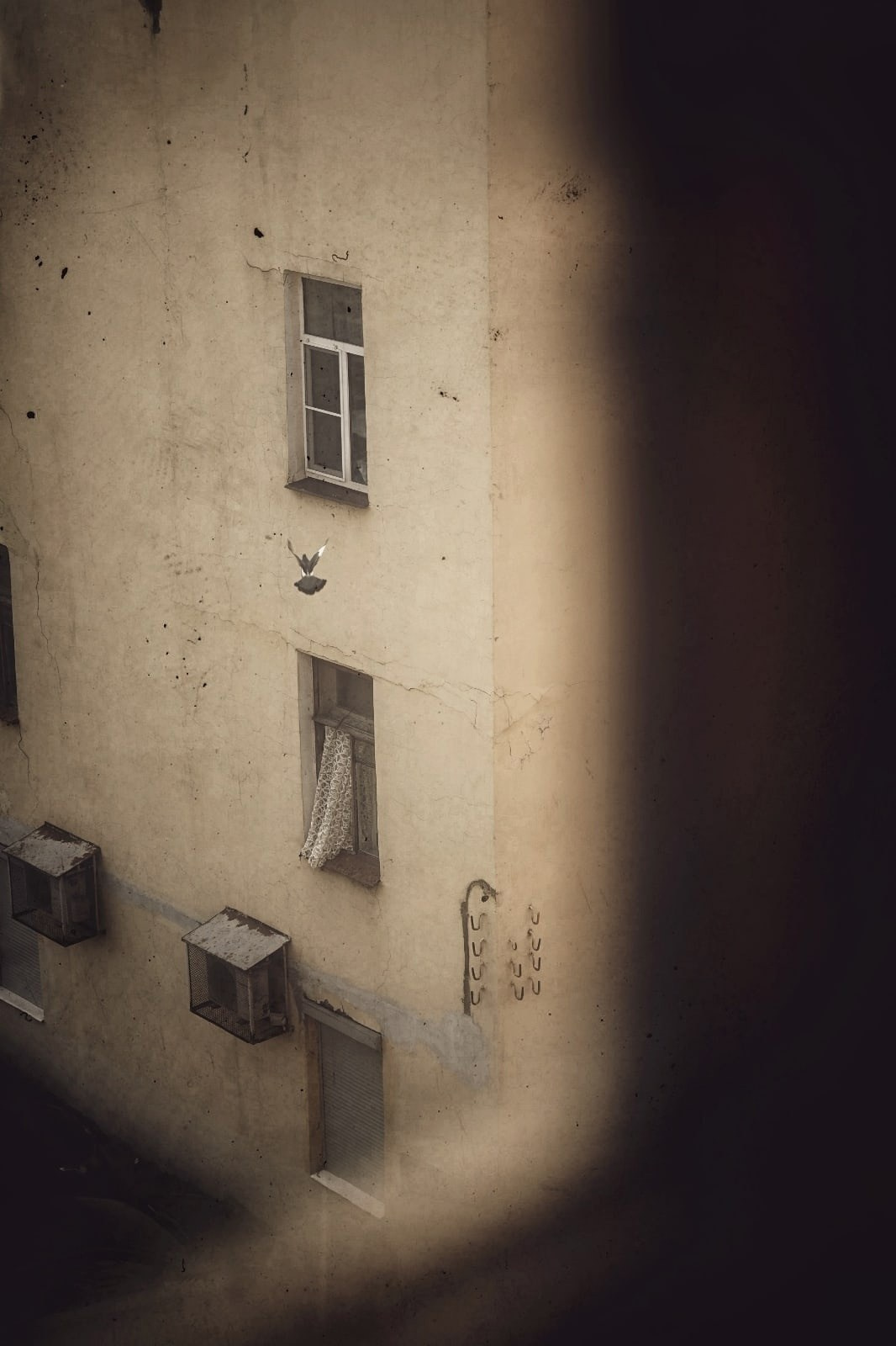 Репортажная фотосъёмка в Петербурге | Портретный фотограф Ольга Берёза. Экскурсовод в Санкт-Петербурге | Ольга Колоскова