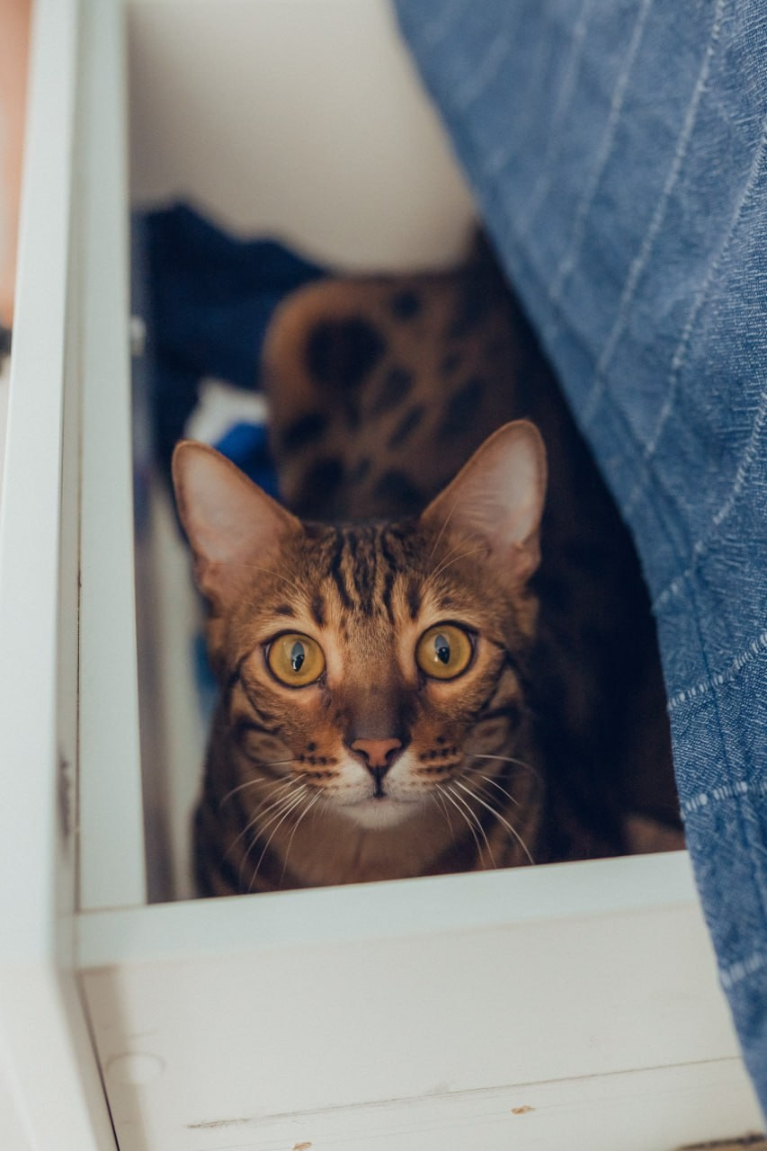 Мы счастливы. Семейный фотограф в Казани Шамгулова Марина