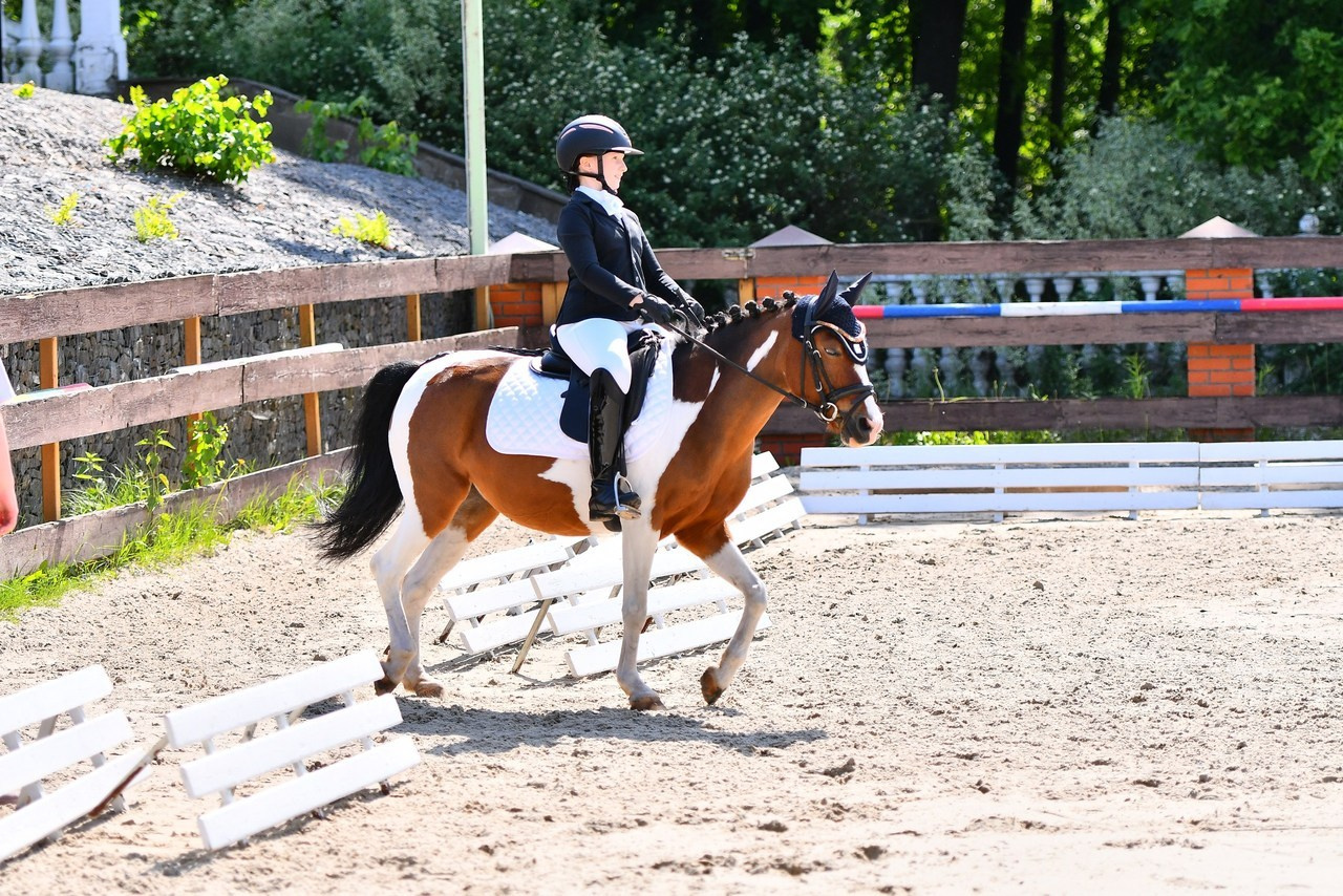 Отзывы. ТУРНИРНАЯ КОННАЯ ФОТОГРАФИЯ, Руднева Ольга и Евгений Адеев