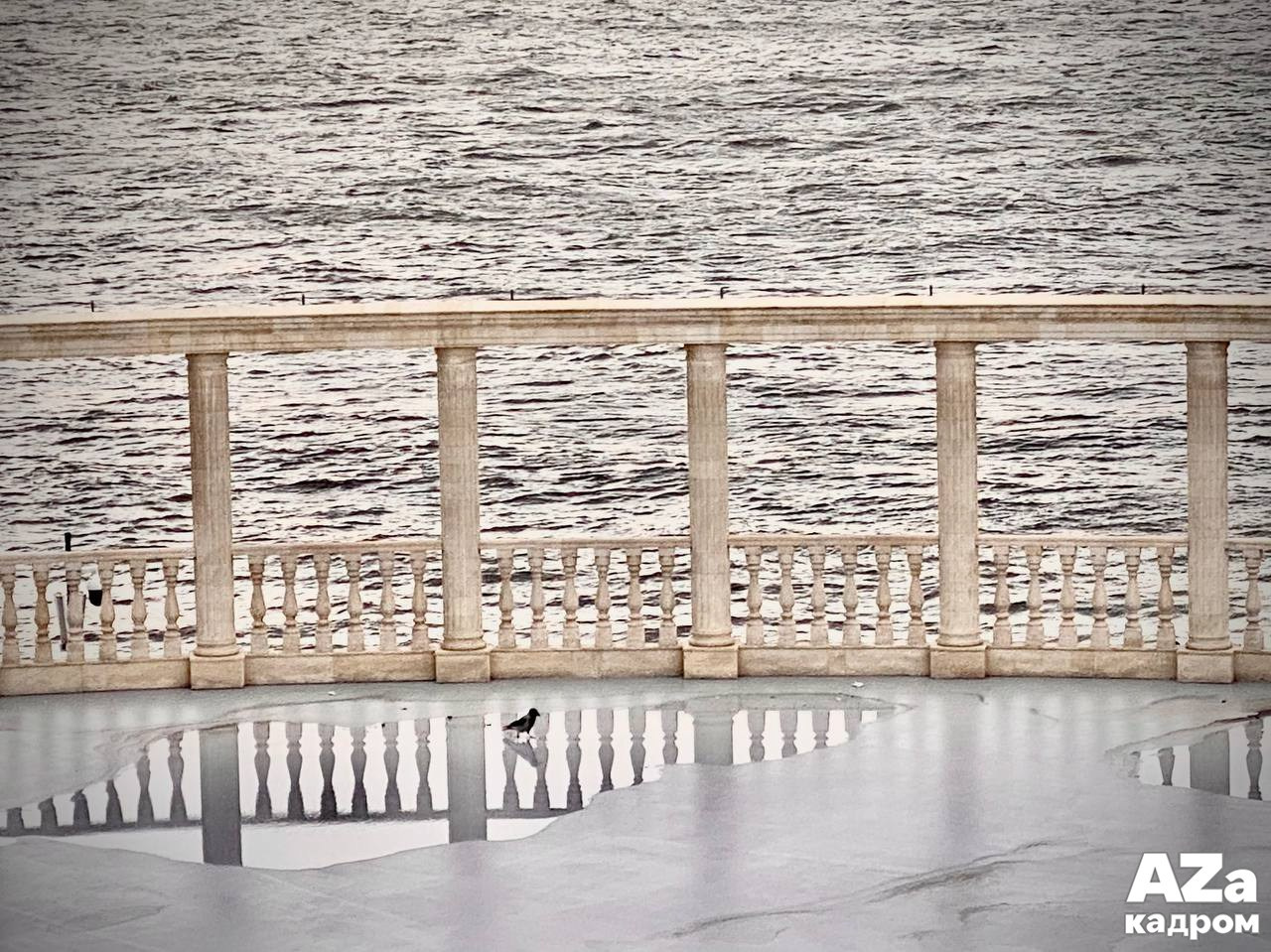 AZакадром «Фотофанты». Женский семейный фотограф Тула Москва Захарова Анна