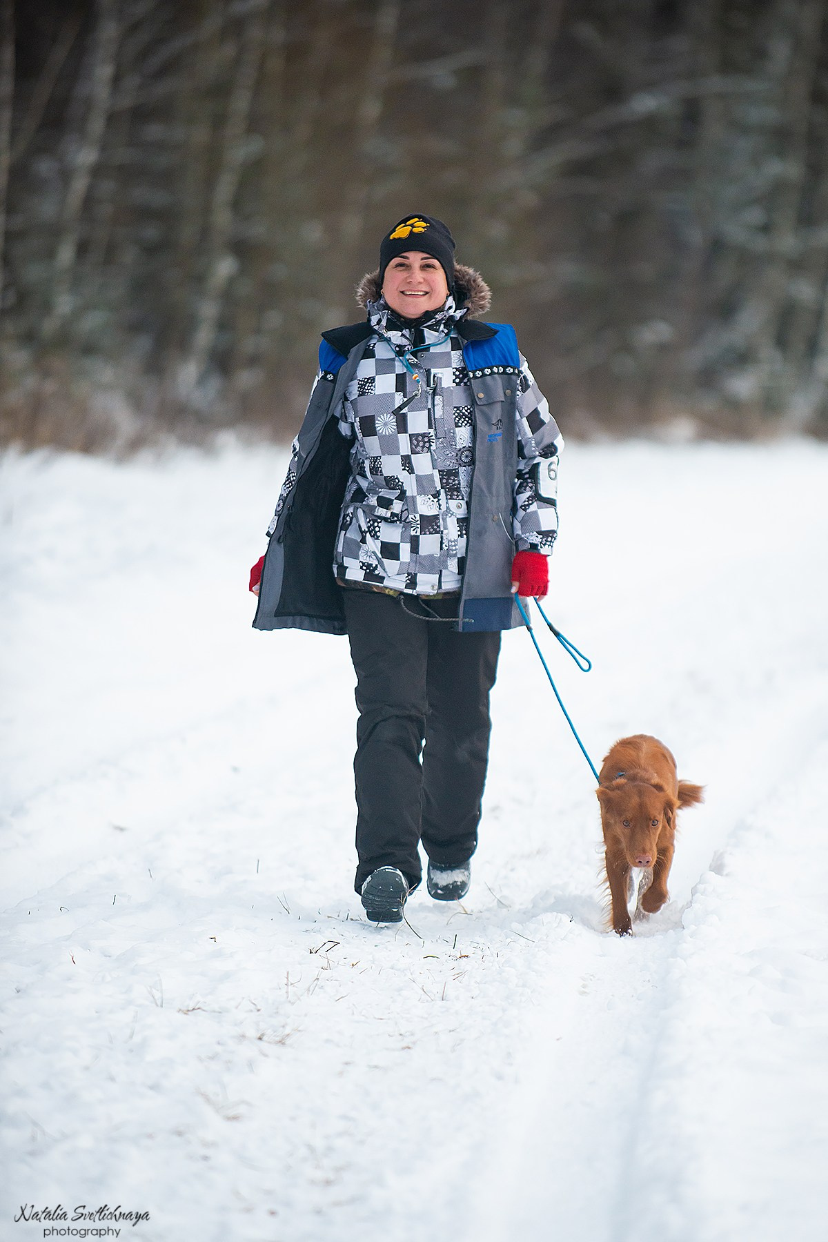 Тренировочный воркинг тест Школы Шмеля, 02 декабря 2023. Фотограф-анималист Наталья Светличная
