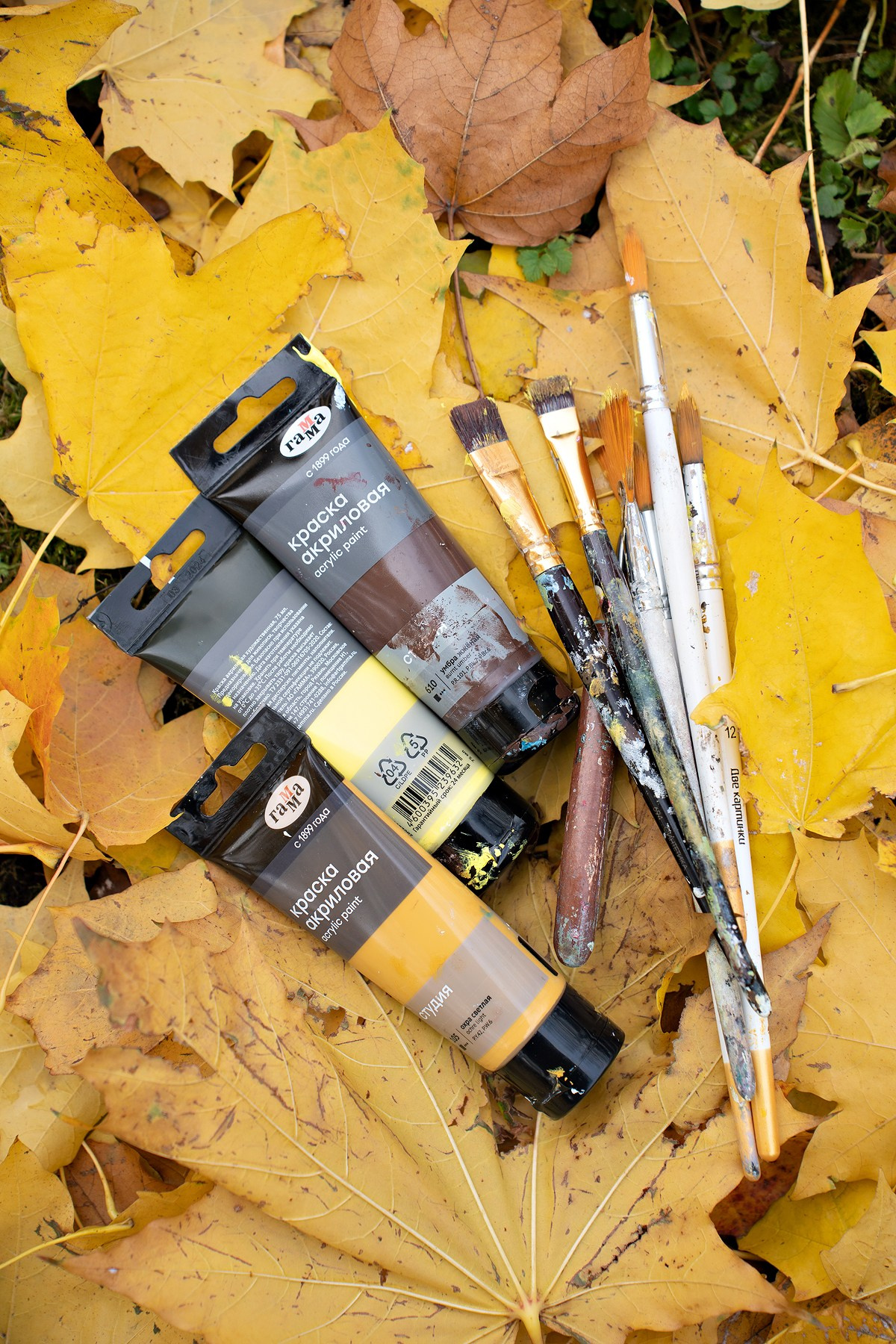 Кистью и листьями. Художник Анна Пятковская. Фотограф Мария Ковкова