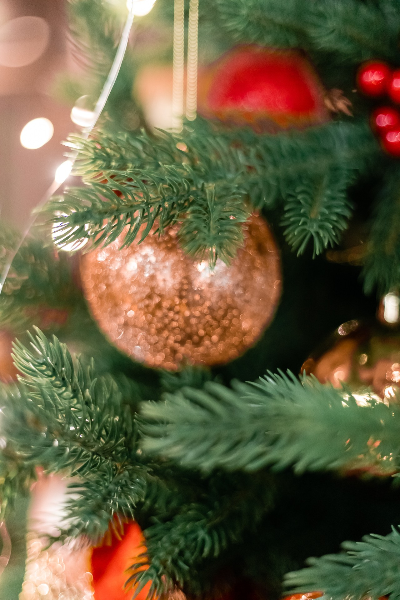 Репортажная съемка корпоратива в ресторане «Гастрономика». Фотограф в Санкт-Петербурге — Сергей Петров