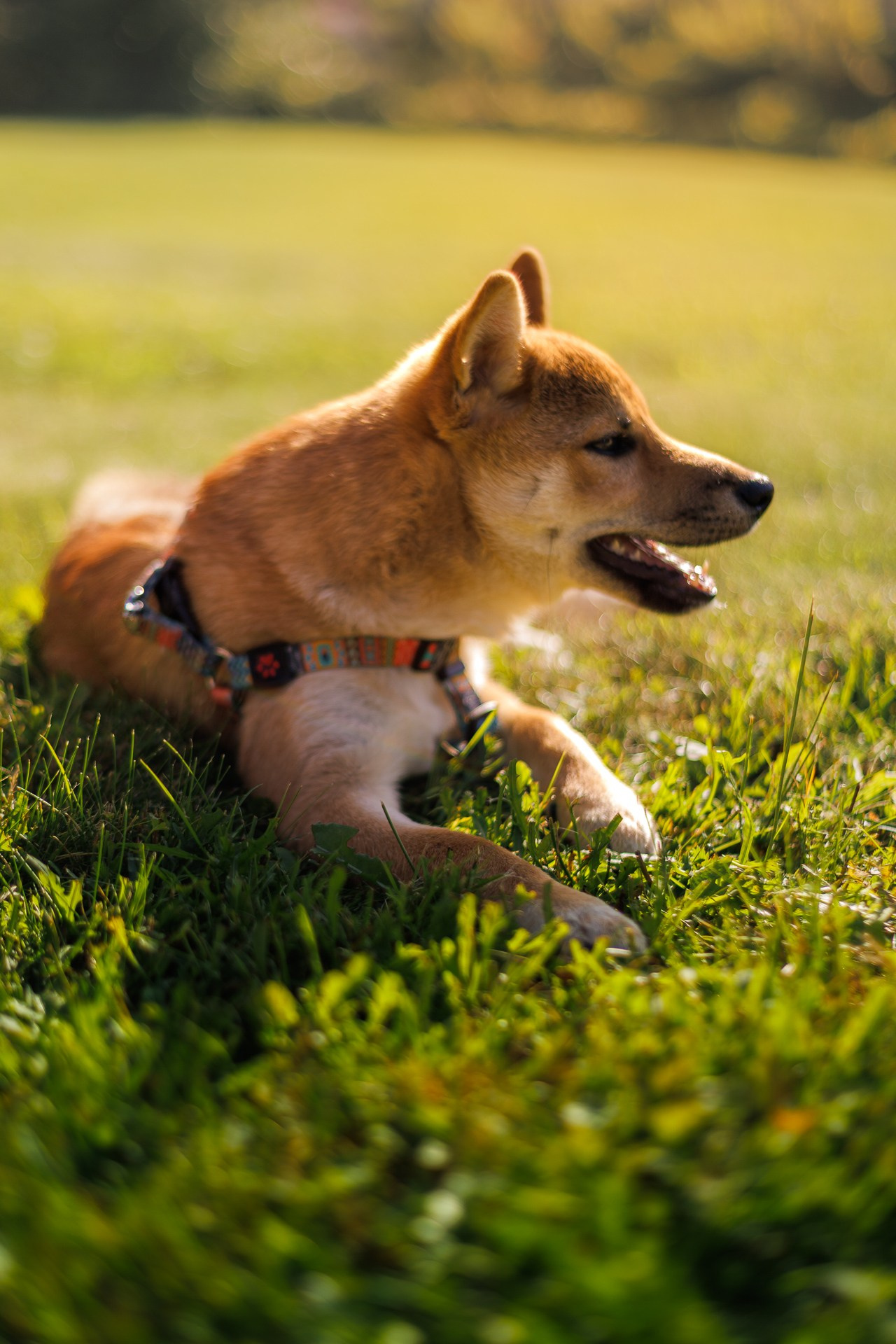 Репортажная съемка. Портретный фотограф в Москве Евгений Уткин