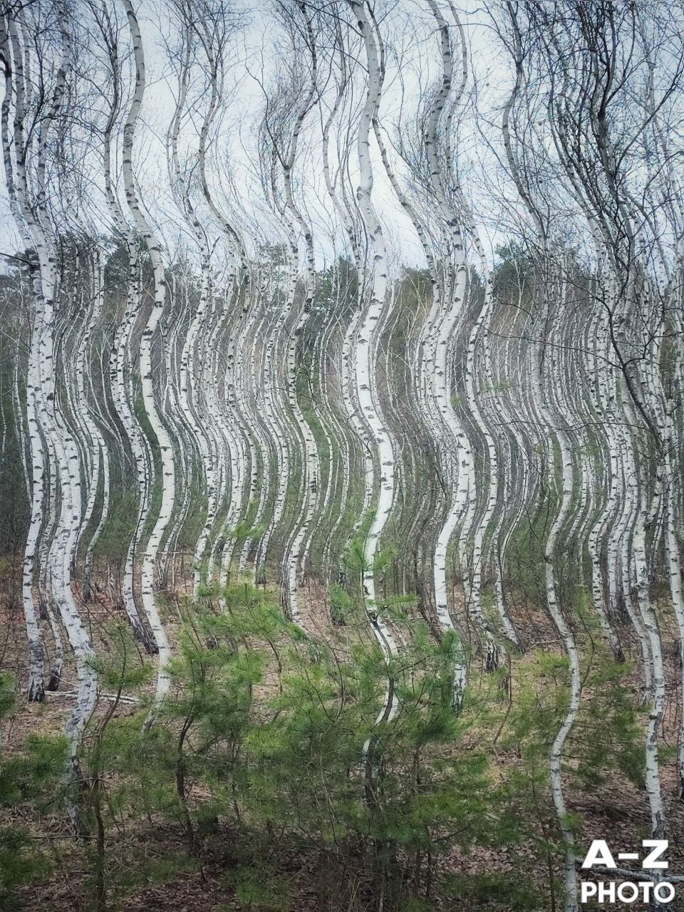 #ФОТОНЕДЕЛИ 13.04.2026. Женский семейный фотограф Тула Москва Захарова Анна