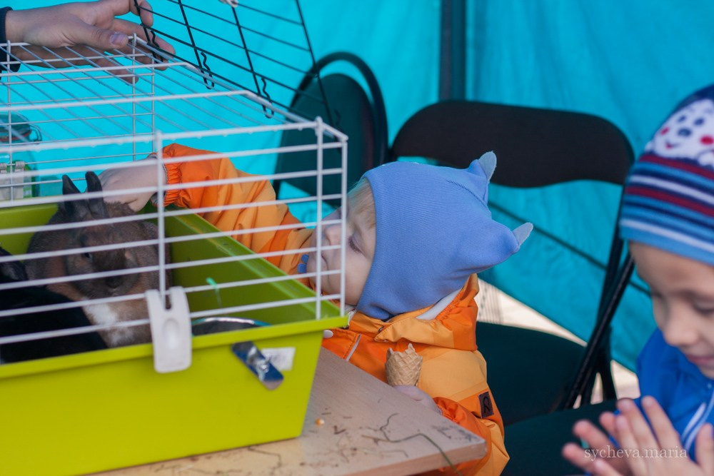 Ярмарка талантов. Детский и семейный фотограф, фотограф мероприятий Нижний Новгород