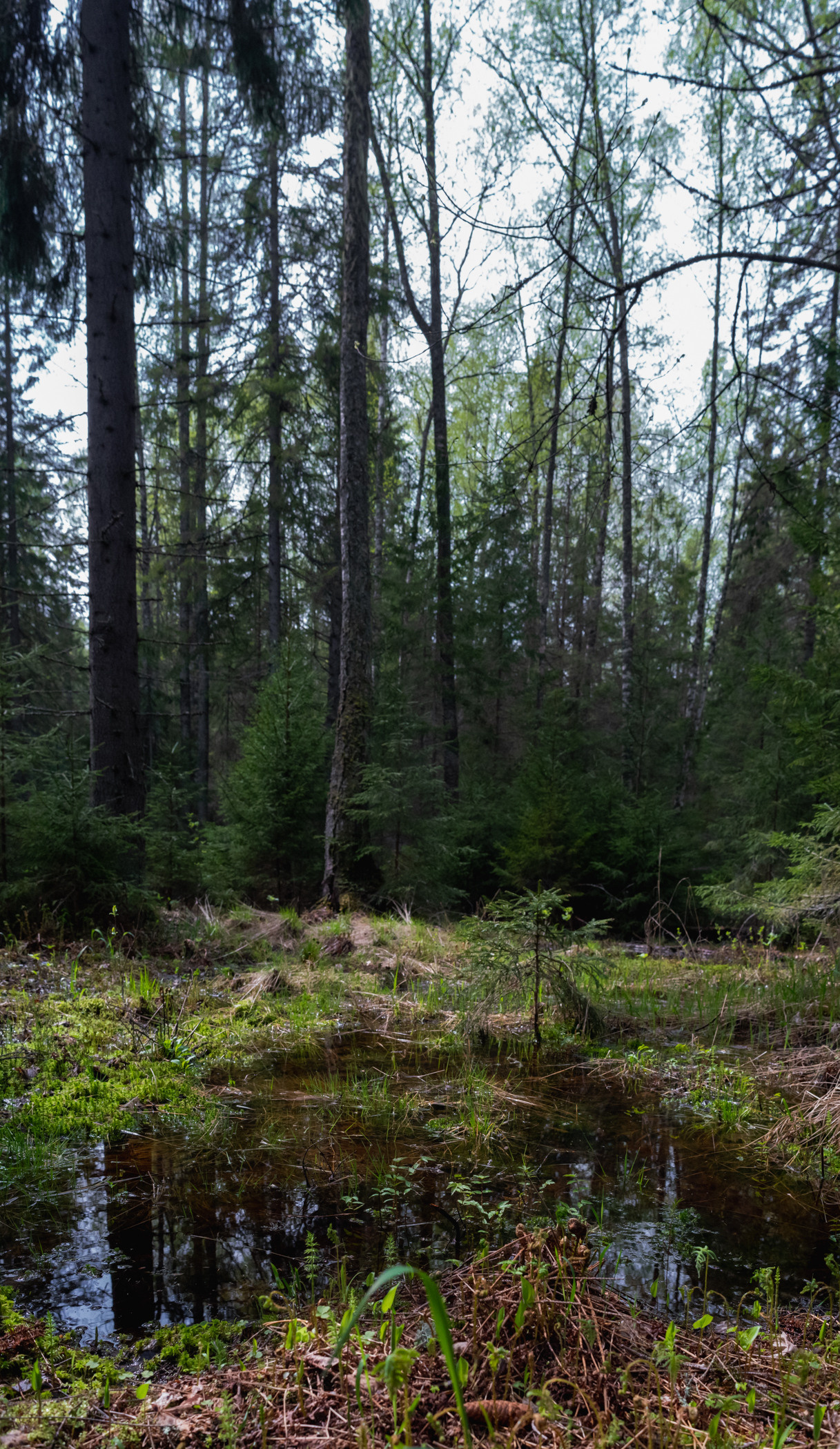 Валаам. Фотограф в Самаре Сергей Зайцев