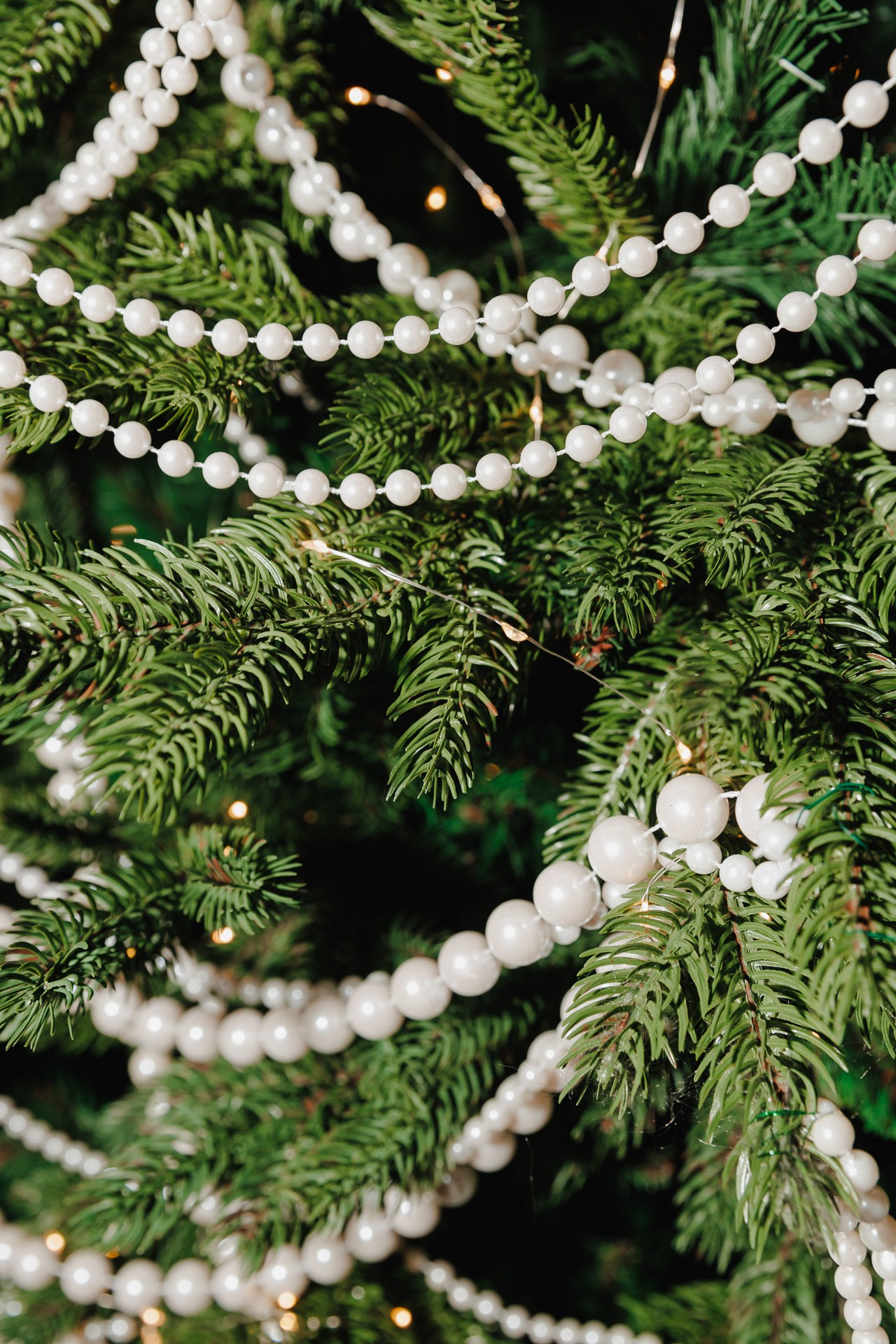 GooseGoose. Night2Day Санкт-Петербург