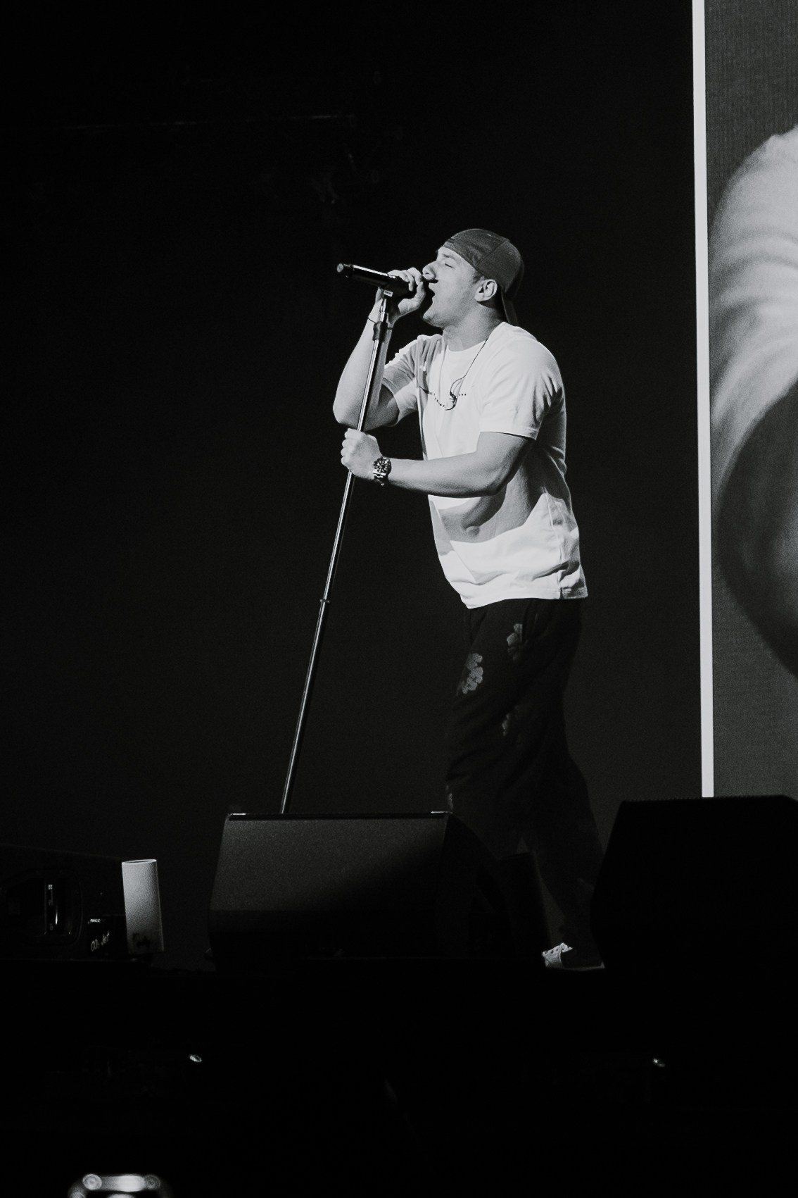 MACAN. Фотограф Москва