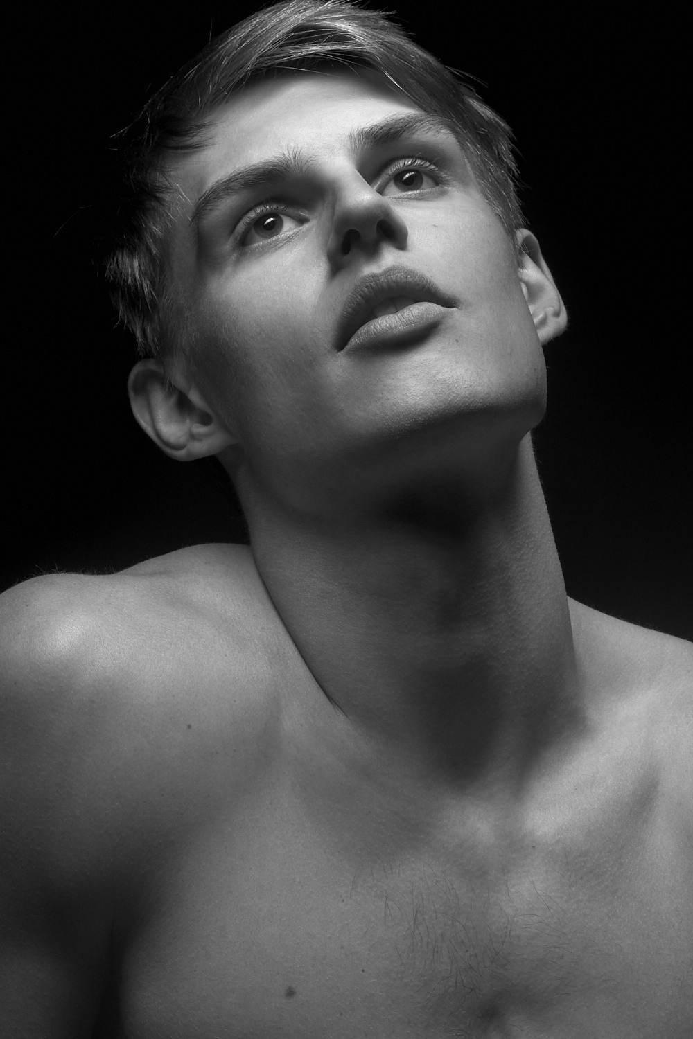 ALEXANDER A. THE FAME MODELS