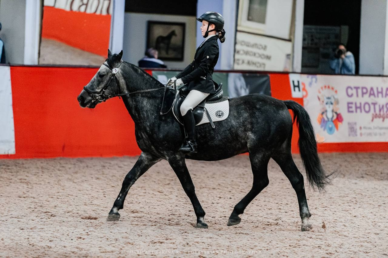 ВЫЕЗДКА в КЦ ИЗМАЙЛОВО, «ГЕОСКАЧКИ». Куракина Дарья • Конный фотограф