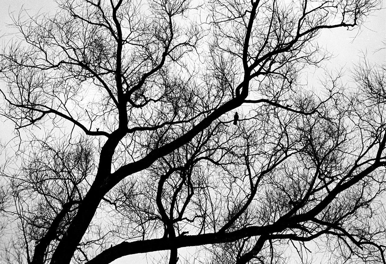 Вся Россия. Фотограф Cyberkyrie