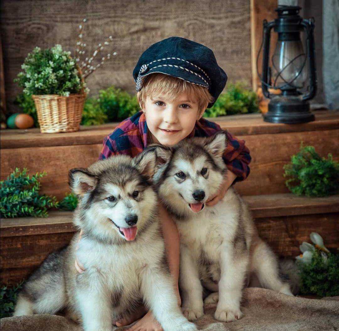 Цены на услуги. Интерьерный и портретный фотограф в Екатеринбурге Андрей Калинин