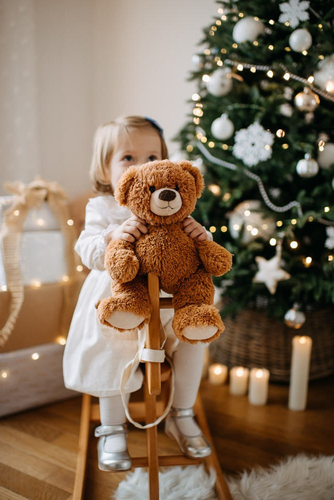 Новогодняя фотосессия. Фотосессия в студии в Москве от профессионального фотографа услуги по доступным ценам