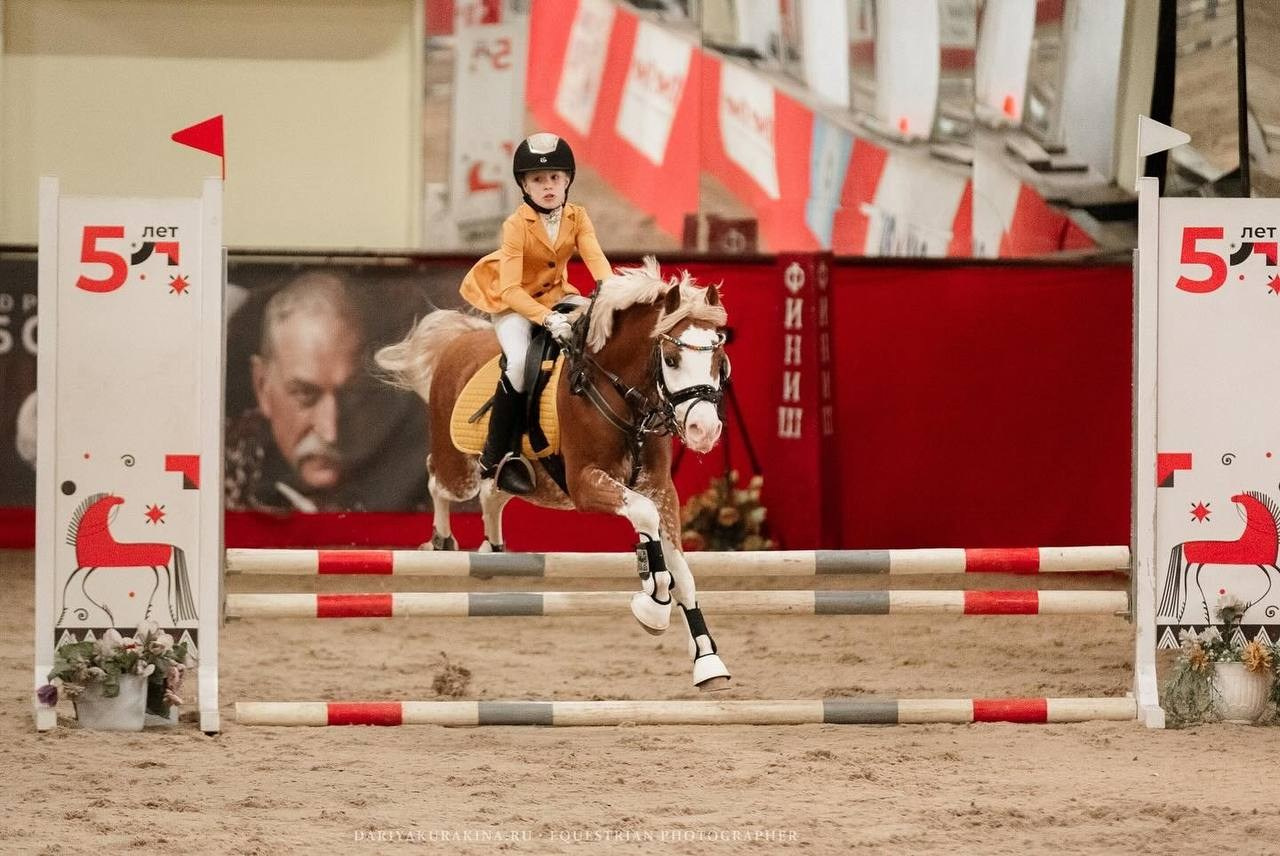 «КУБОК ИМЕНИННИКА» КСК «Измайлово». Конный фотограф Куракина Дарья • Фотосессии с лошадьми
