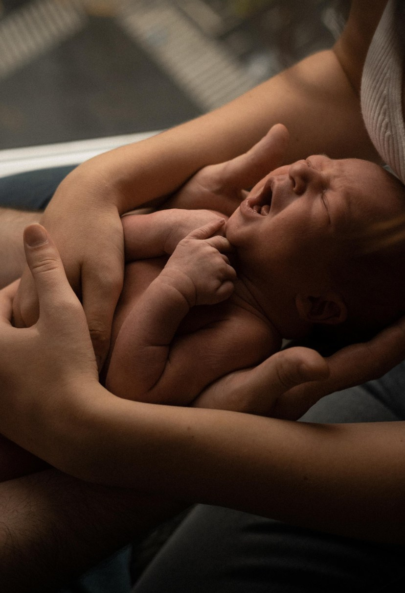 Family. Главная