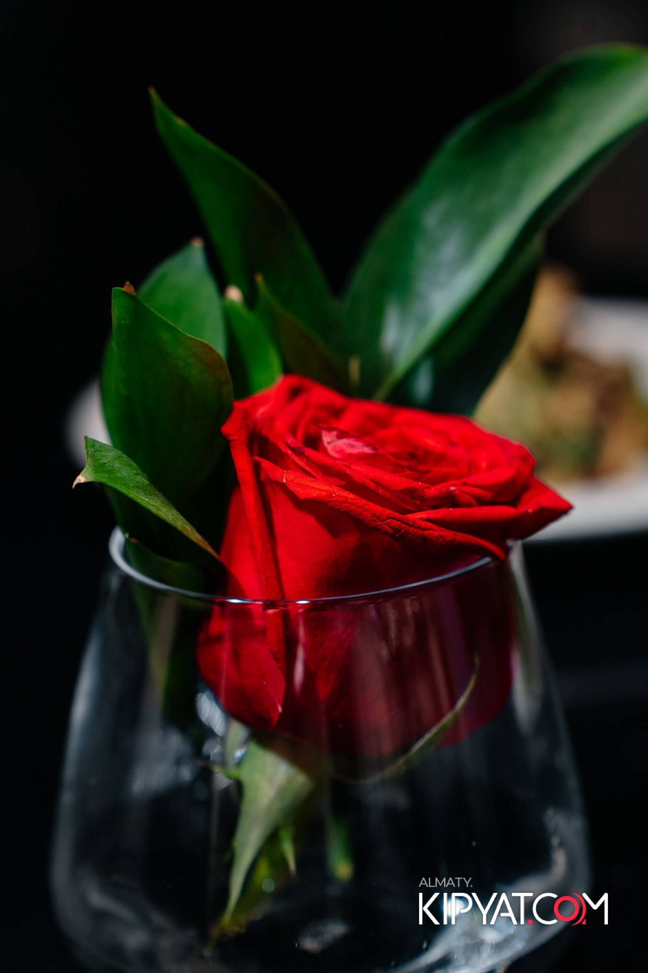 MIELE EXPERIENCE CENTER ALMATY. КИПЯТКОМ АЛМАТЫ!