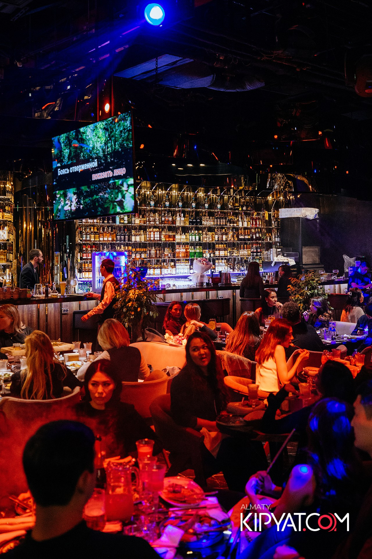 MOOD KARAOKE & TERRACE. КИПЯТКОМ АЛМАТЫ!