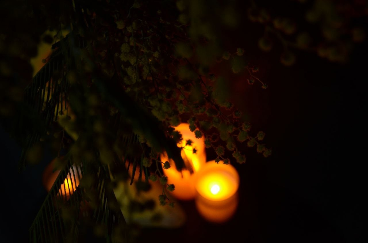 Меню любви. ДОНЕЦКИЙ НОВЫЙ ТЕАТР