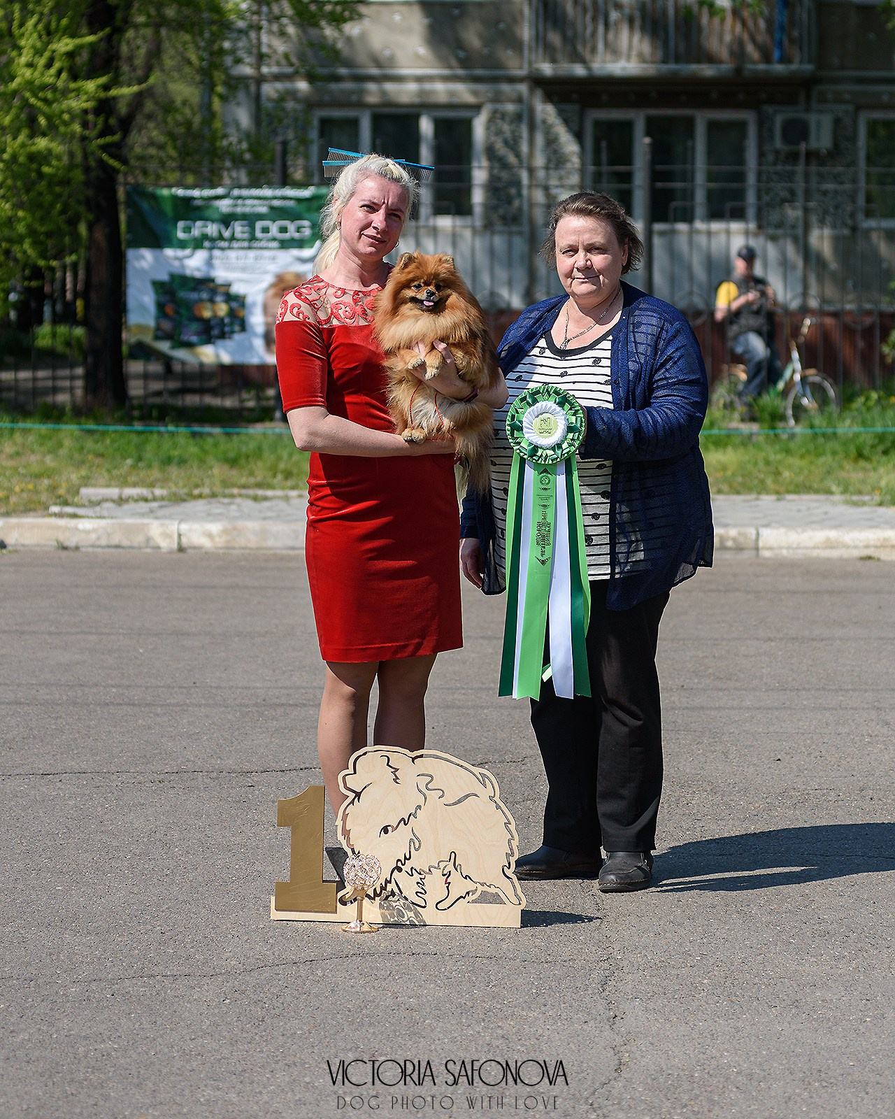 19 мая 2024 Благовещенск. Монопородная выставка шпицев. Фотограф анималист Благовещенск. Сафонова Виктория