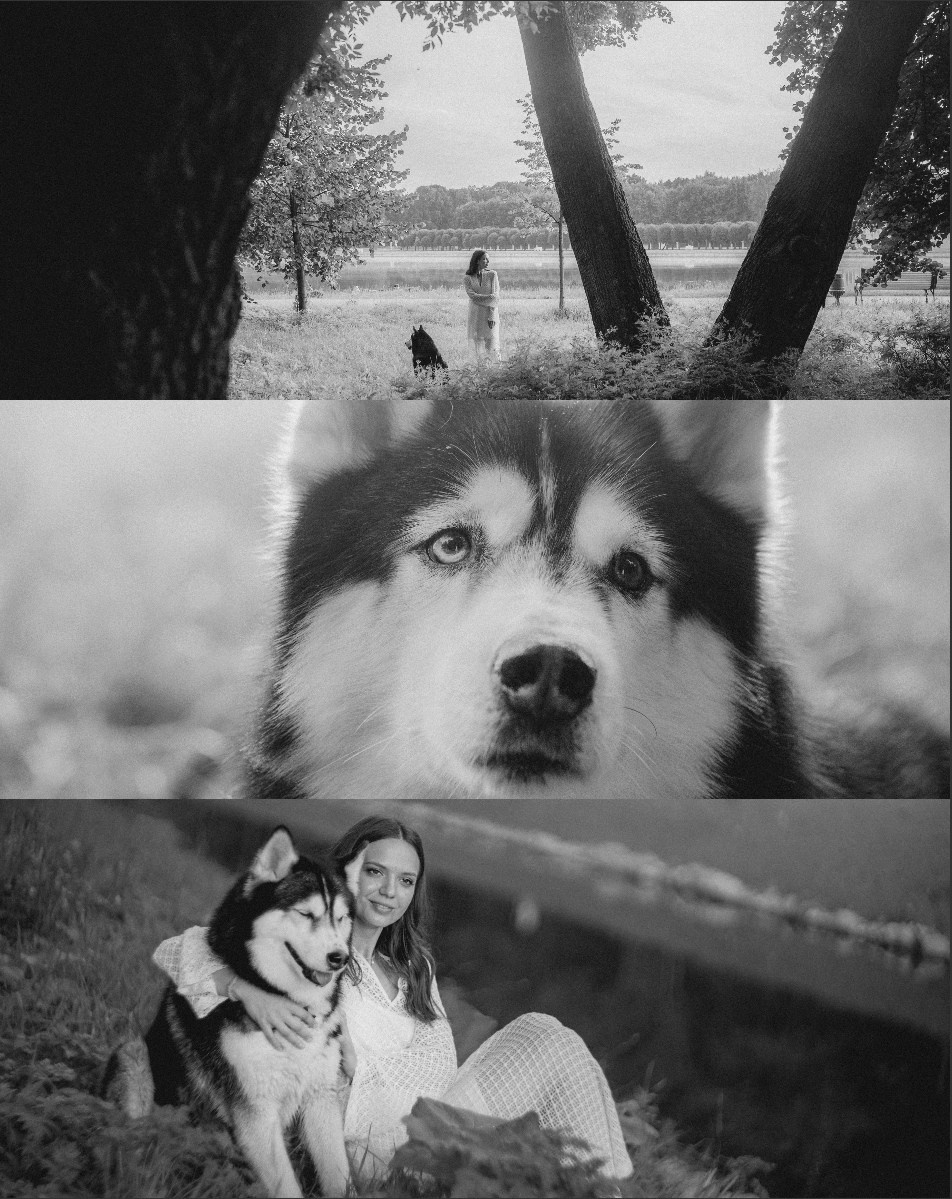 Мария и Вегас. Фотограф анималист в Москве и Санкт-Петербурге Свиридова Анна