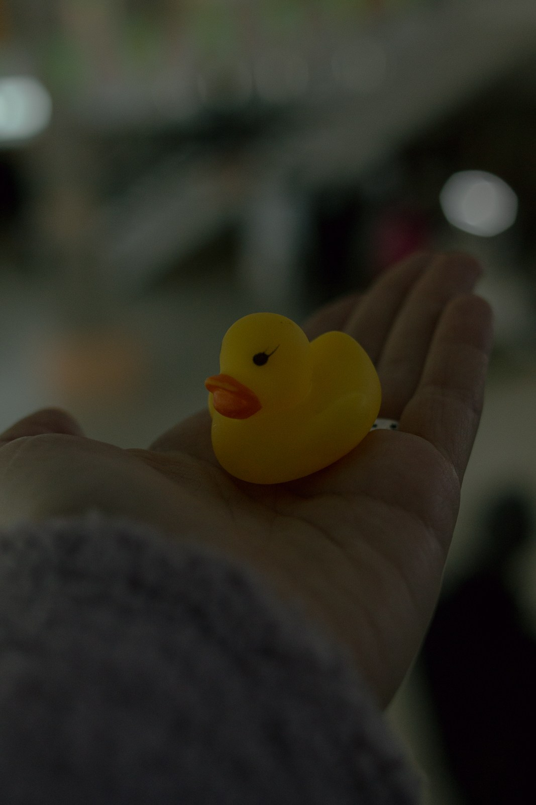 Гаражка 2023. Борщевская Елизавета / фотограф Иркутск