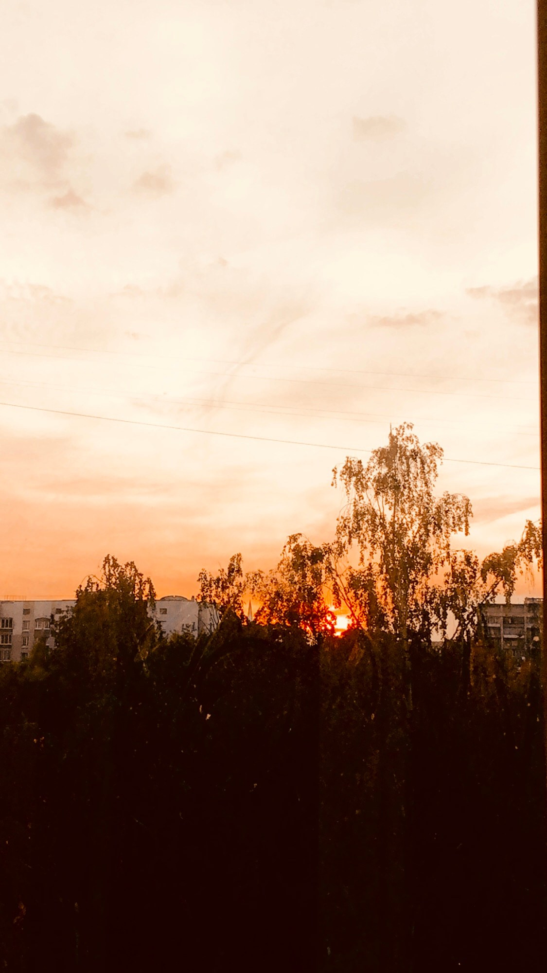 Сентябрь. Семейный, Свадебный фотограф СПБ Питер— Романова Екатерина