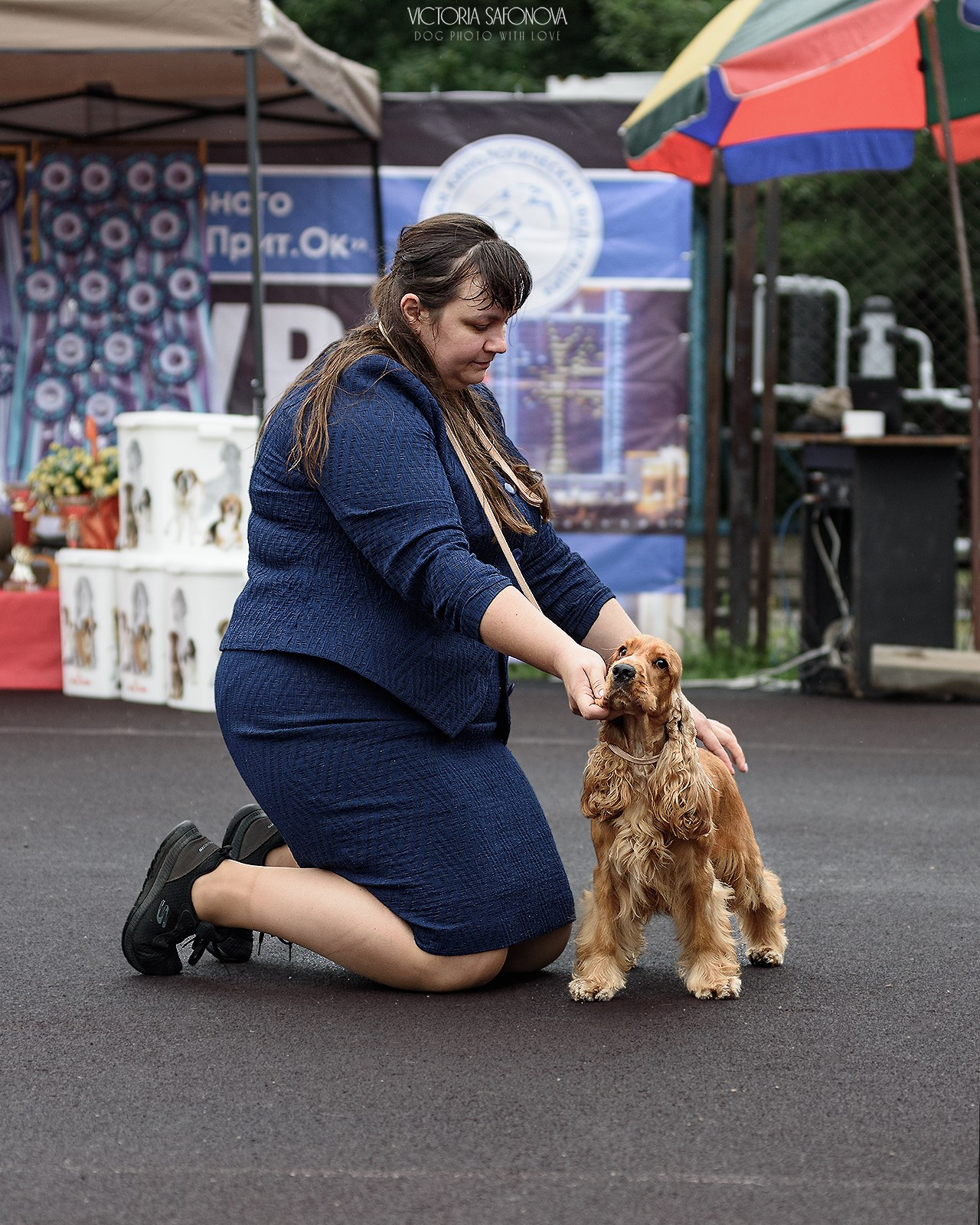 12–13 августа 2023 Благовещенск. Фотограф анималист Благовещенск. Сафонова Виктория