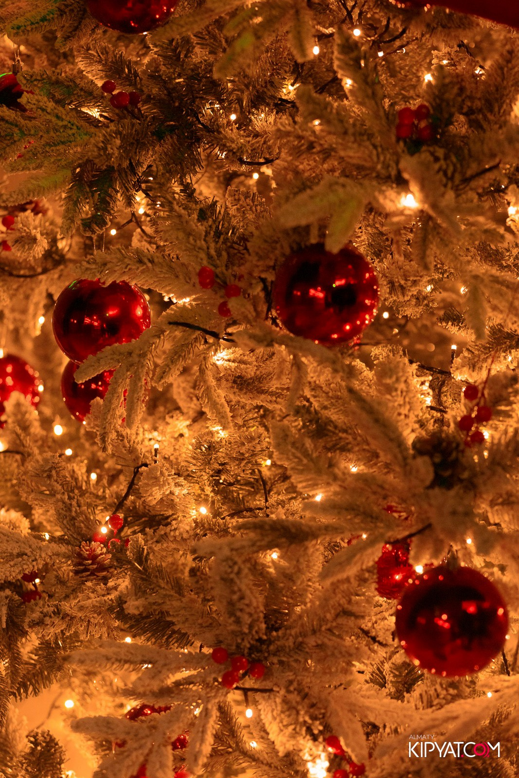 SHISHA RESTOBAR. КИПЯТКОМ АЛМАТЫ! Фотосъемка мероприятий в Алматы