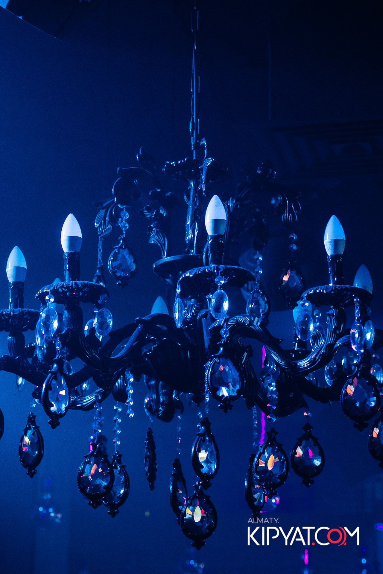 Дорогая. Я Не Пил. КИПЯТКОМ АЛМАТЫ!