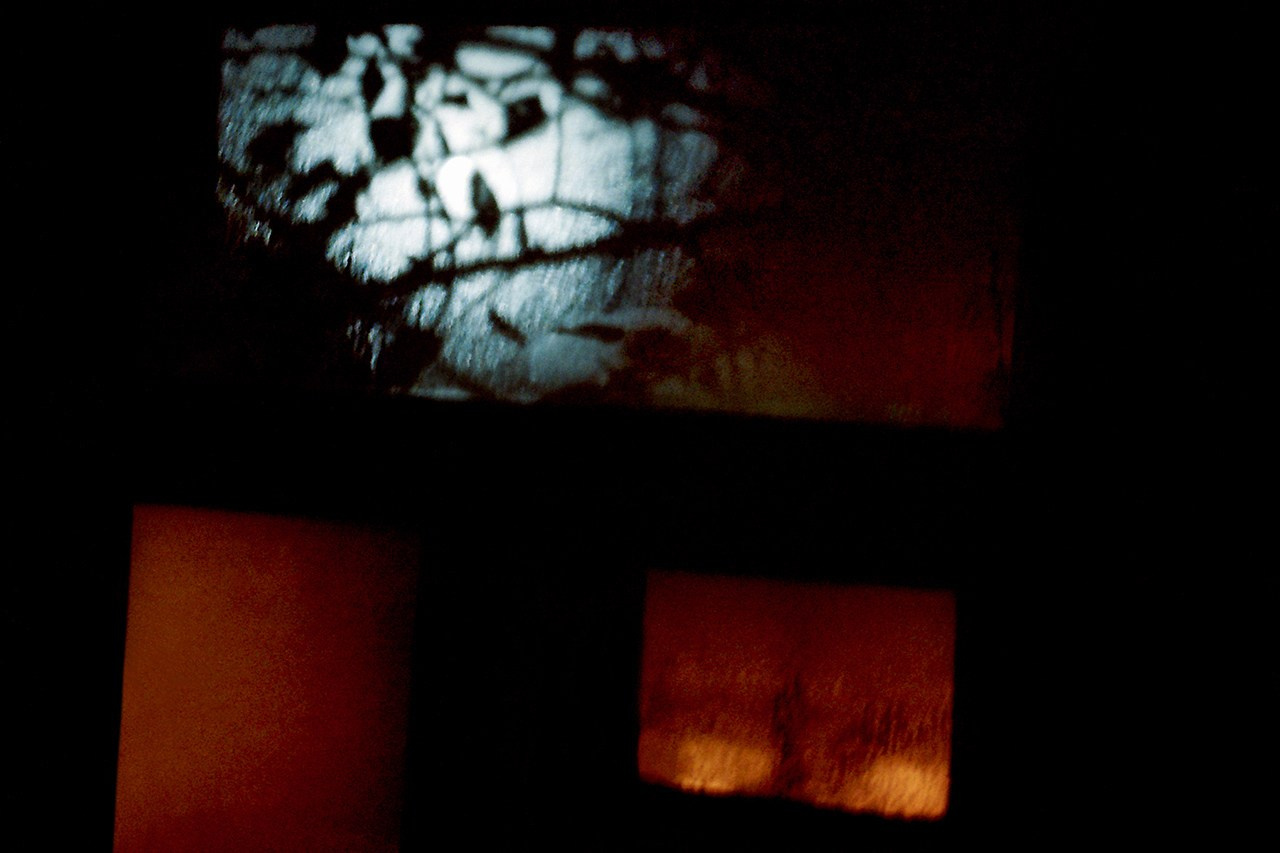 РАЗНОЕ. Андрей Пономарёв