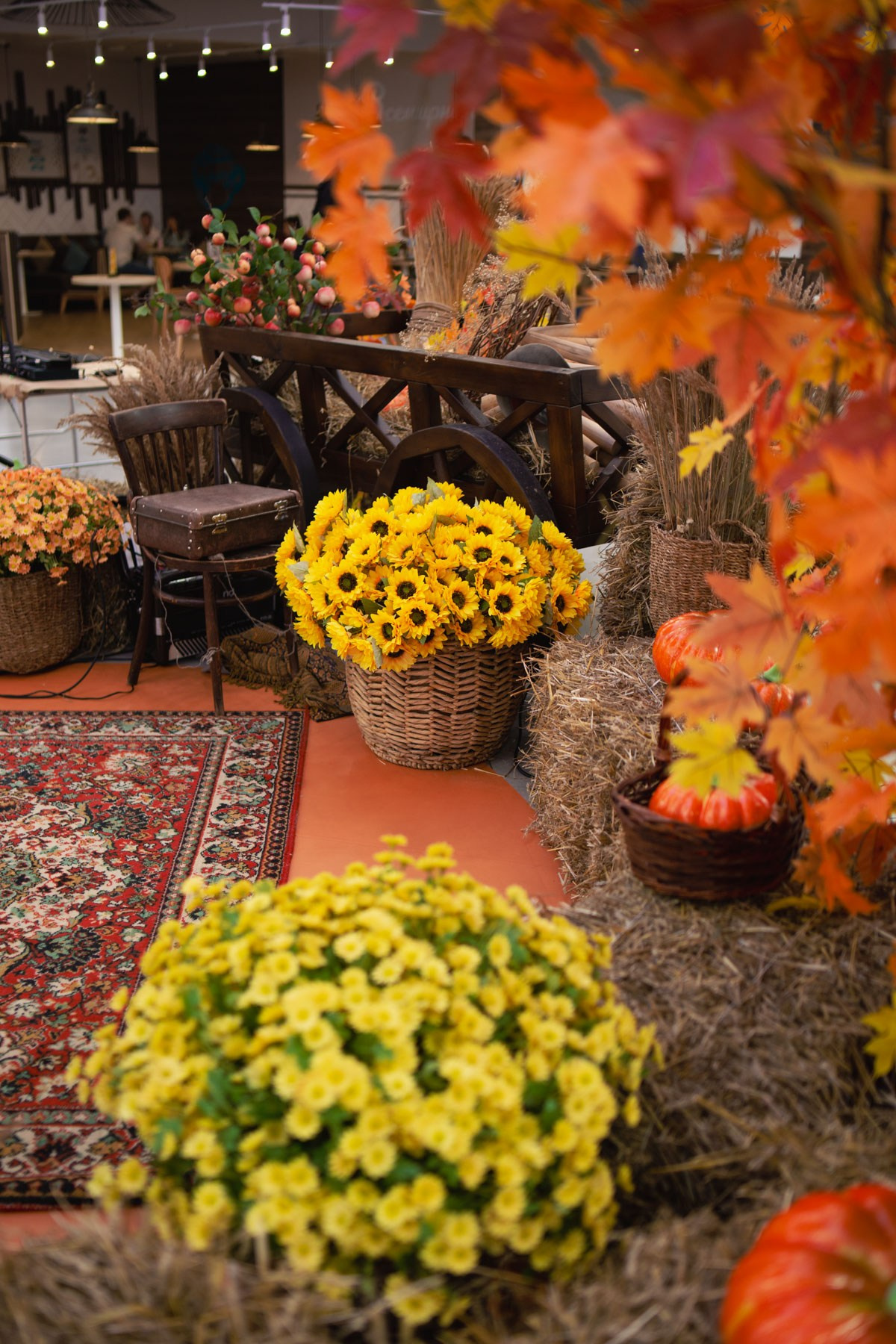 Осеннее чаепитие в ТЦ Хорошо!. Репортажный и концертный фотограф в Москве Анастасия Осень