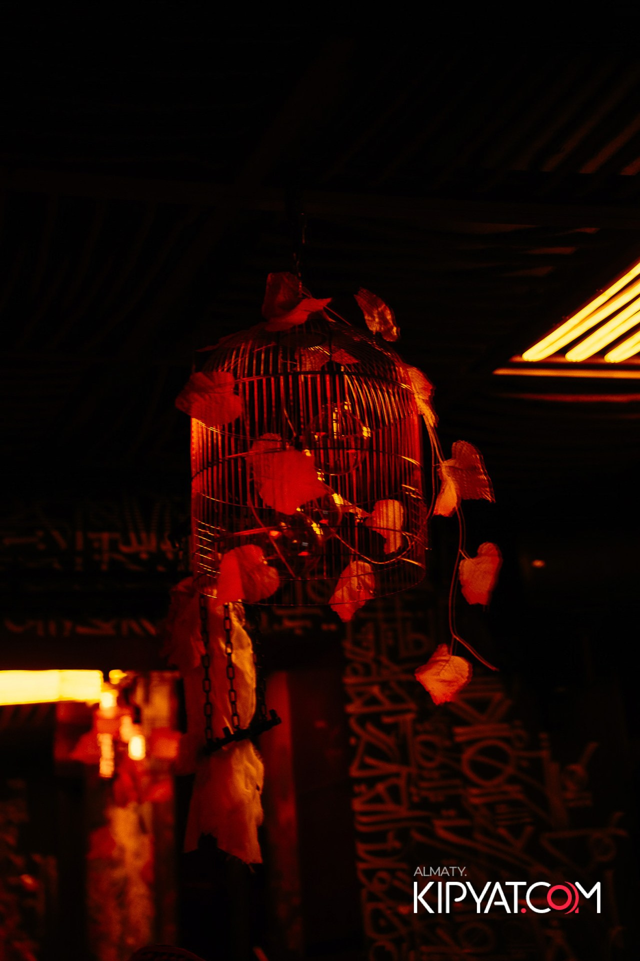 VICTORY MEXICAN AND WILD. КИПЯТКОМ АЛМАТЫ!