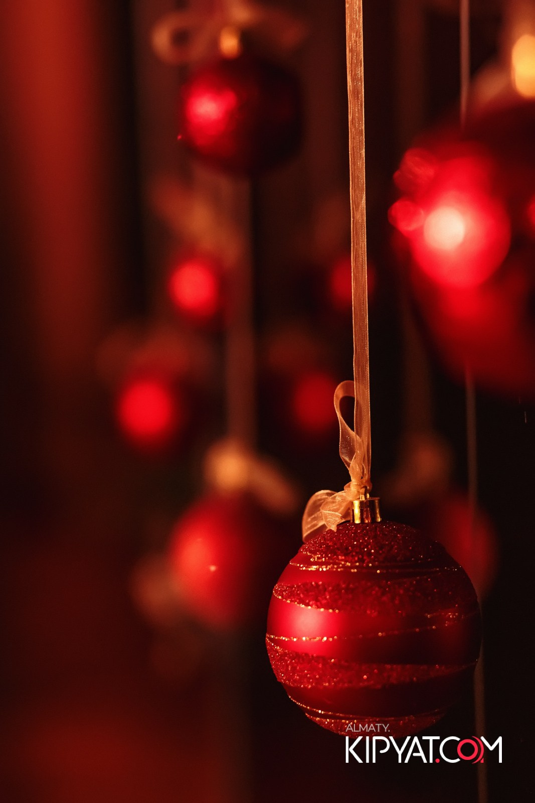 РЕСТОРАН BARFLY. КИПЯТКОМ АЛМАТЫ!