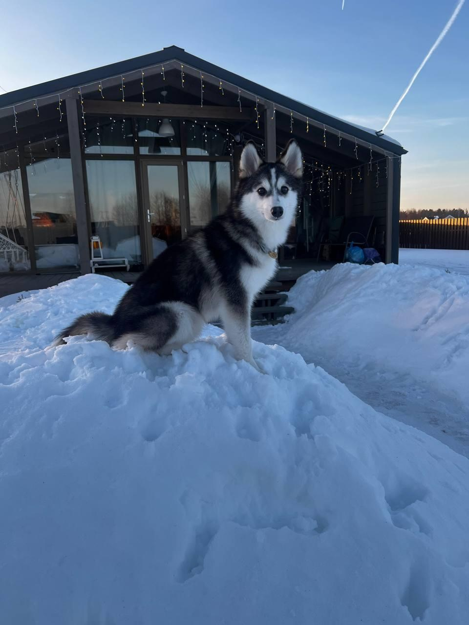 Фотогалерея. Гостевой дом Каприот в средиземноморском стиле