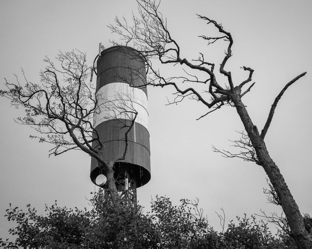 Сопостановление. BlackDrozd — фотография аналоговая и цифровая, цветная и черно-белая