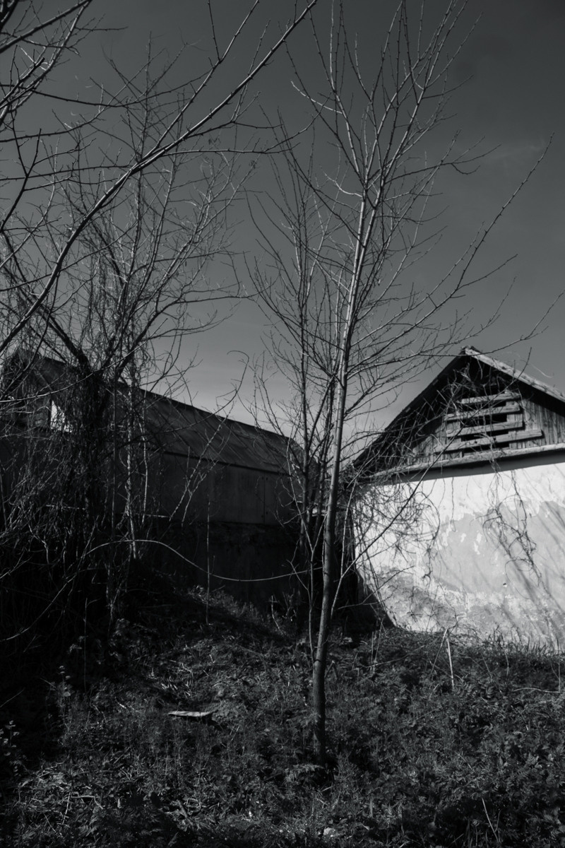 Личная комната. Екатерина Подлеснов