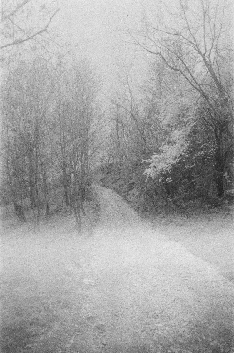 Личная комната. Екатерина Подлеснов